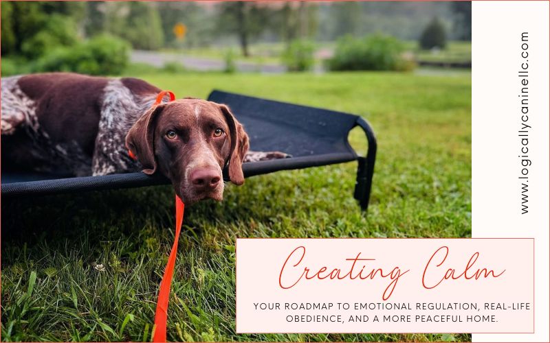Creating Calm Guidebook Dog Training Creating Calm Guidebook Dog Training